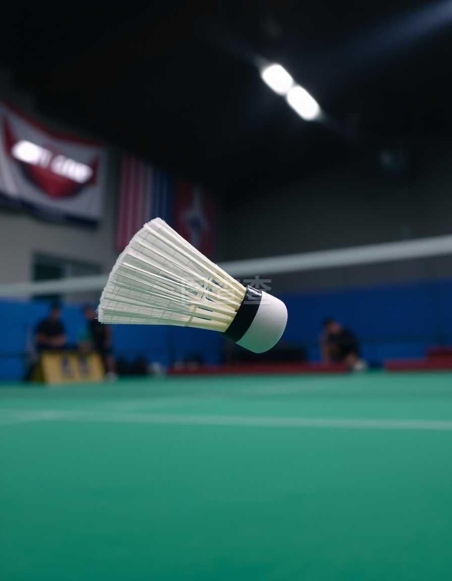 如果不能从 如果不能从