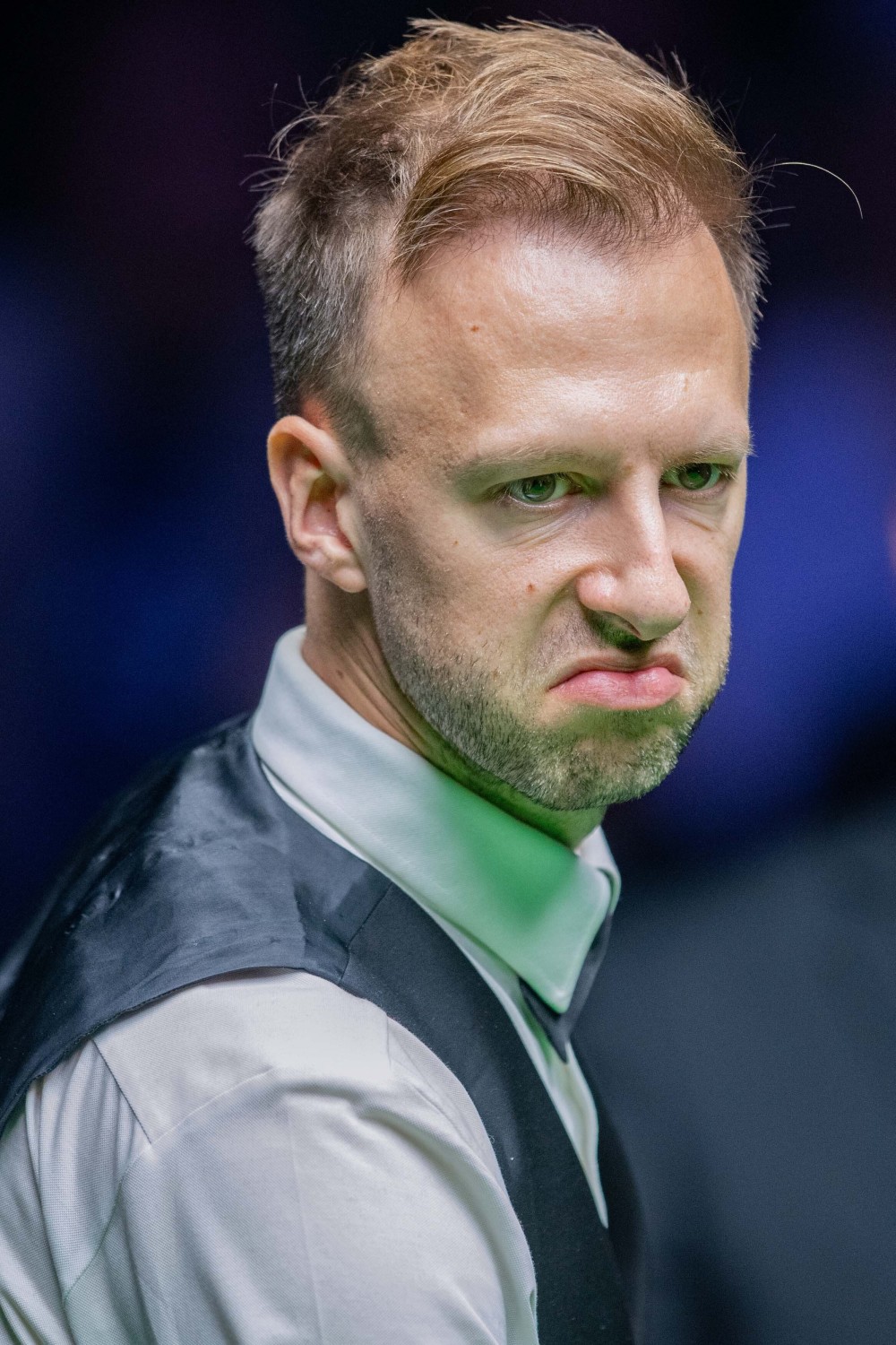 捉的黄蜂入 捉的黄蜂入